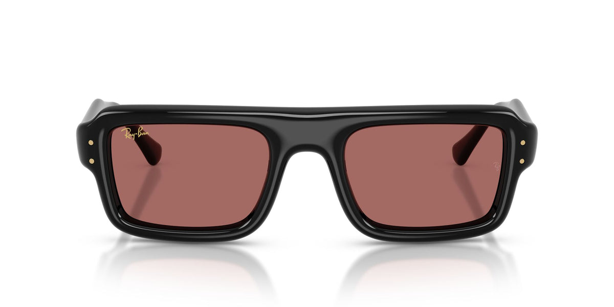 RAYBAN RB4954 ASAP ROCKY FLACKO PUFFER 60169 54 SUNGLASSES