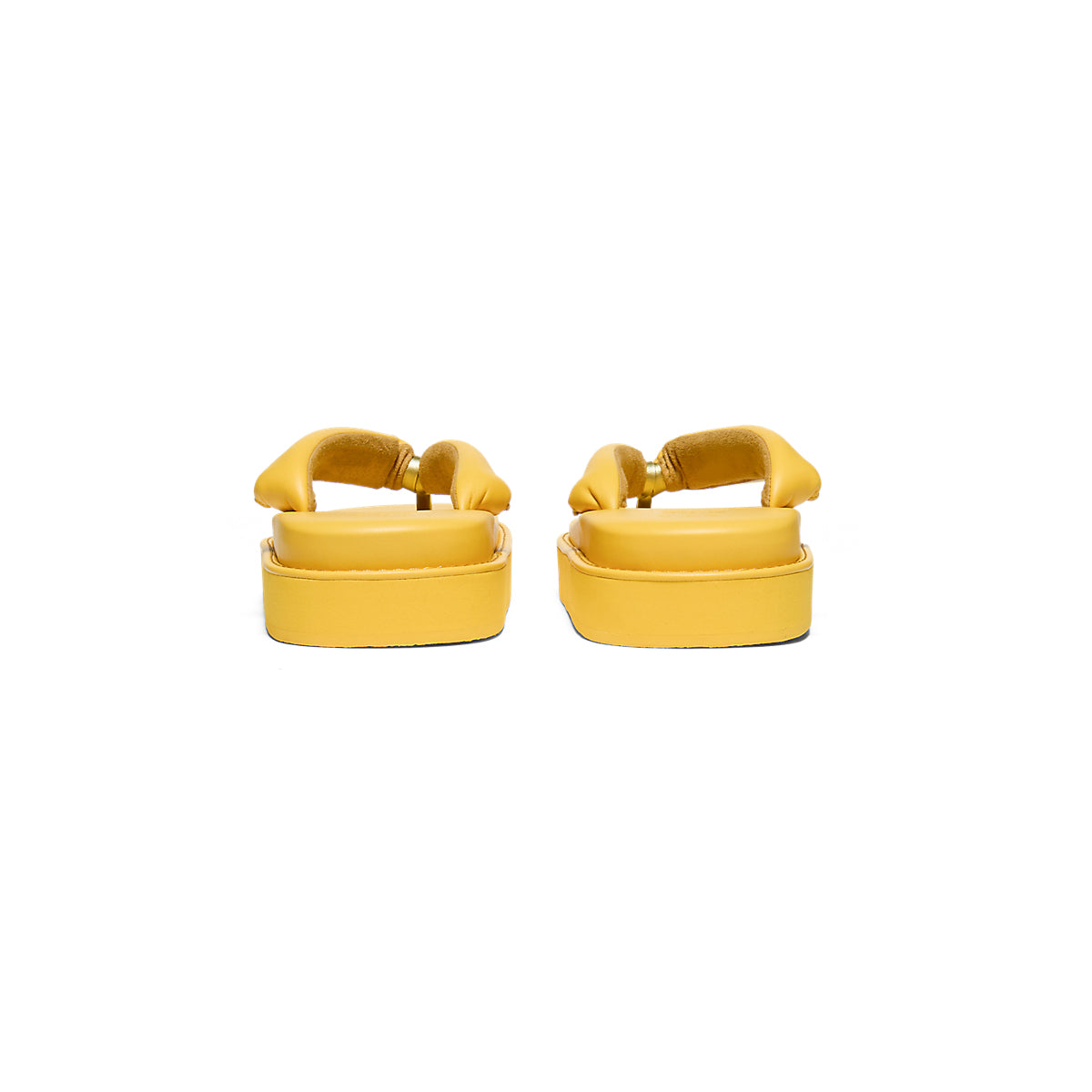 TIGER SETTA NM SUNFLOWER YELLOW/SUNFLOWER YELLOW