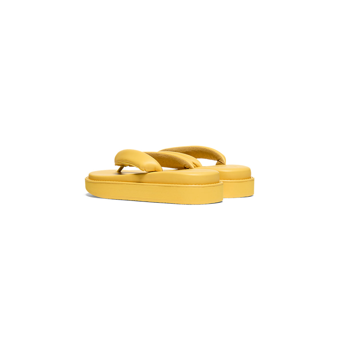 TIGER SETTA NM SUNFLOWER YELLOW/SUNFLOWER YELLOW