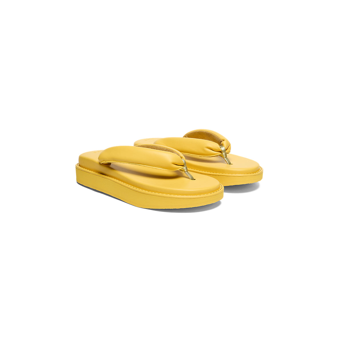 TIGER SETTA NM SUNFLOWER YELLOW/SUNFLOWER YELLOW