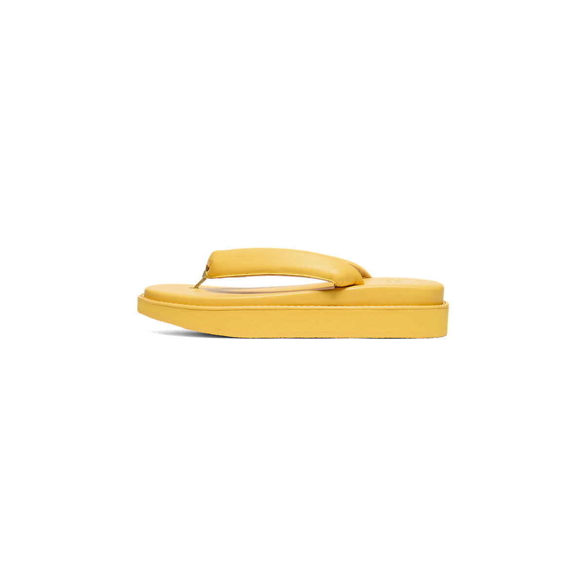 TIGER SETTA NM SUNFLOWER YELLOW/SUNFLOWER YELLOW