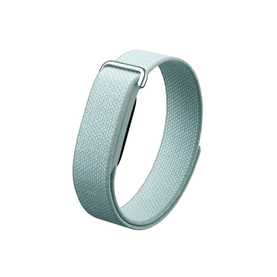 Google Fitbit Air Classic