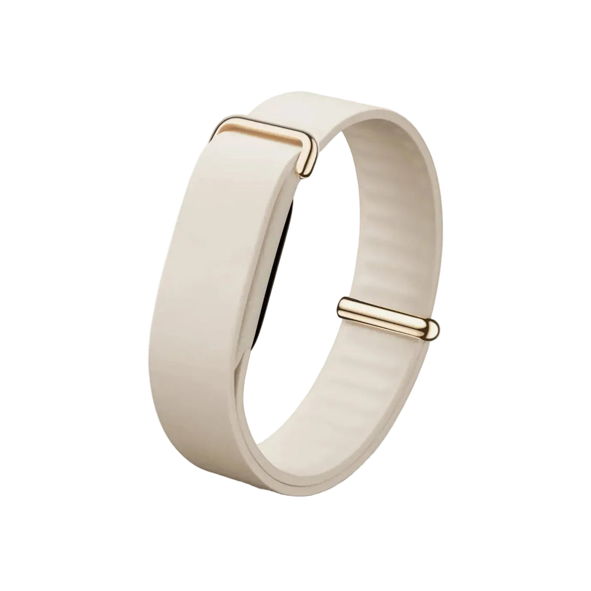 Google Fitbit Air Elevated Modern Band (Only Band)