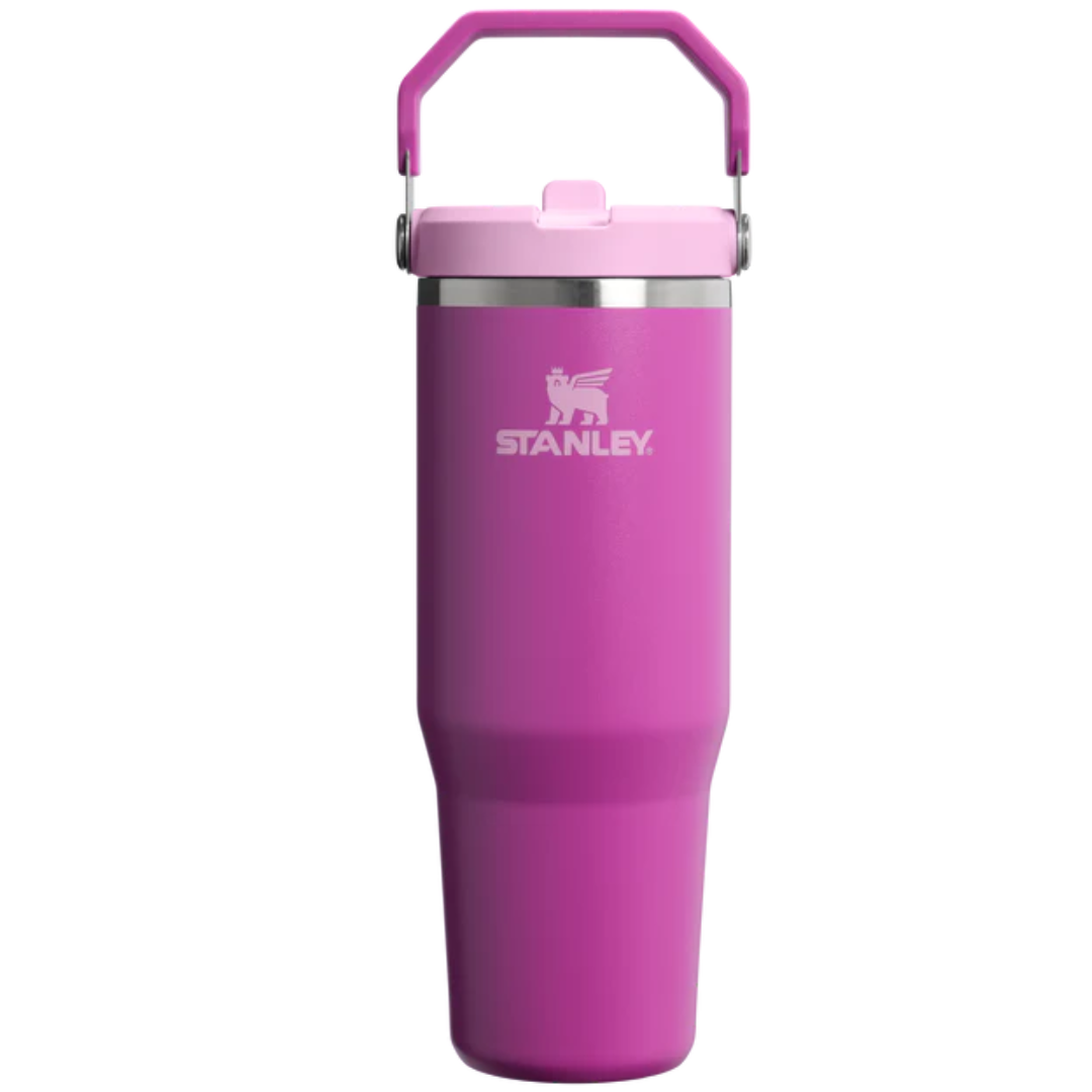 STANLEY Tumbler Mug IceFlow Flip Straw 30 Oz
