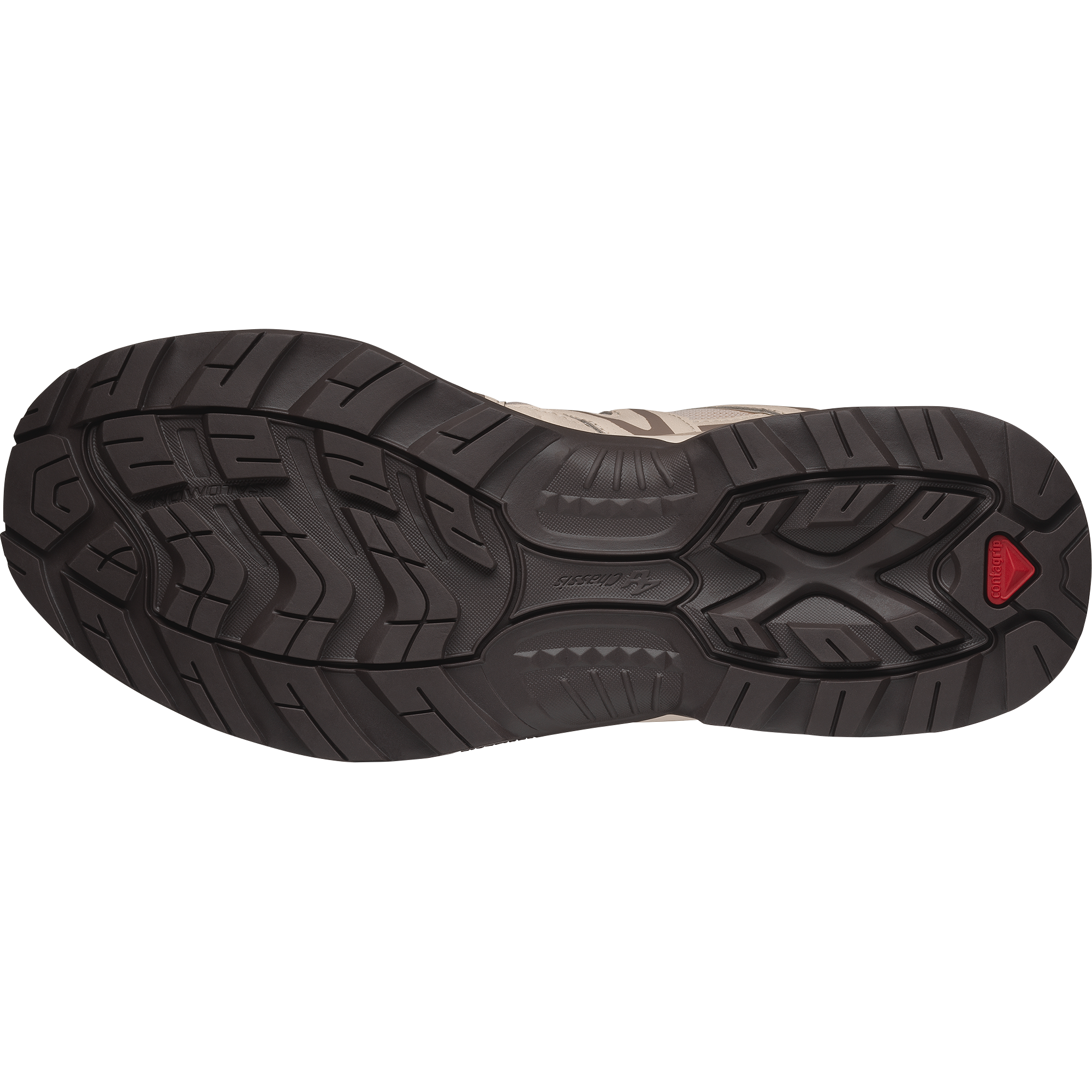 XT-QUEST Tapioca / Walnut / Black Coffee