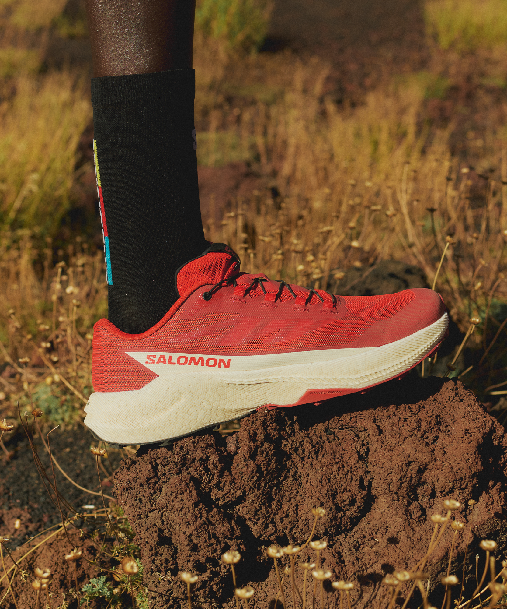 PULSAR Fiery Red / Vanilla Ice / Black