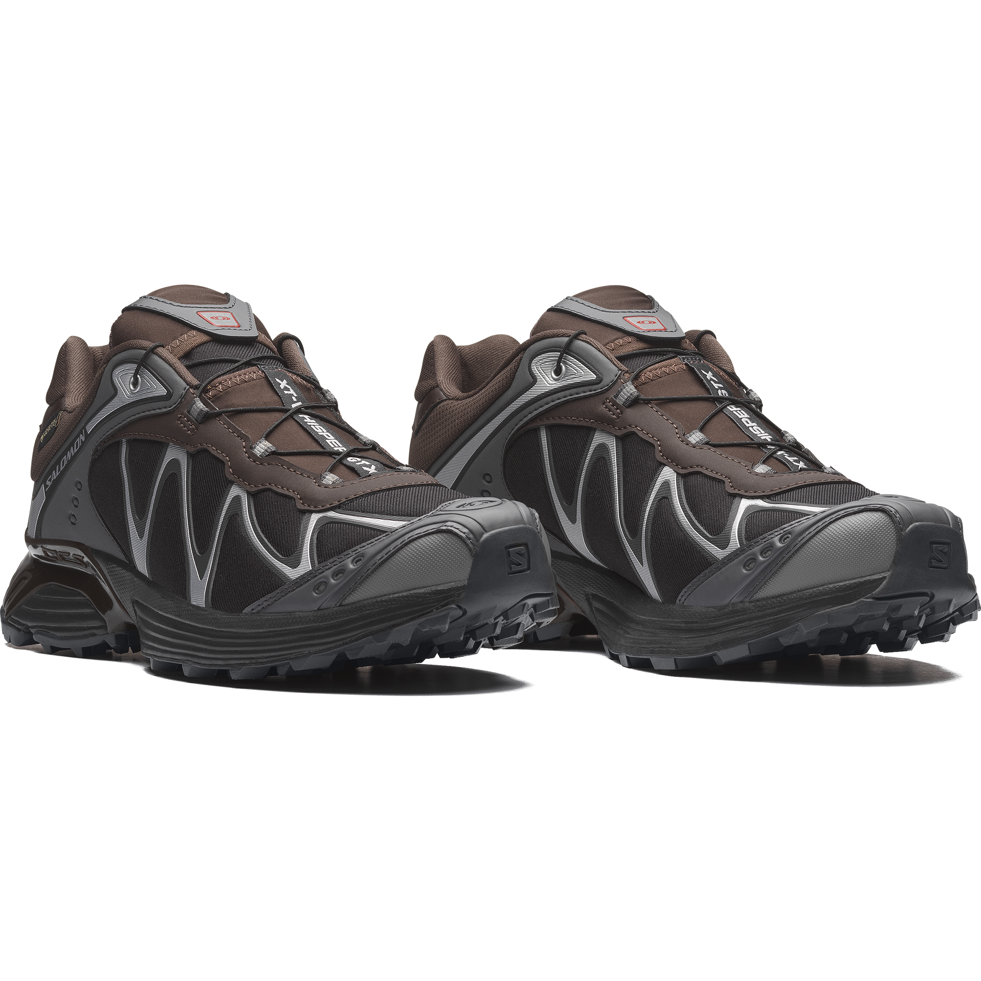 XT-WHISPER GTX Delicioso / Asphalt / Castlerock