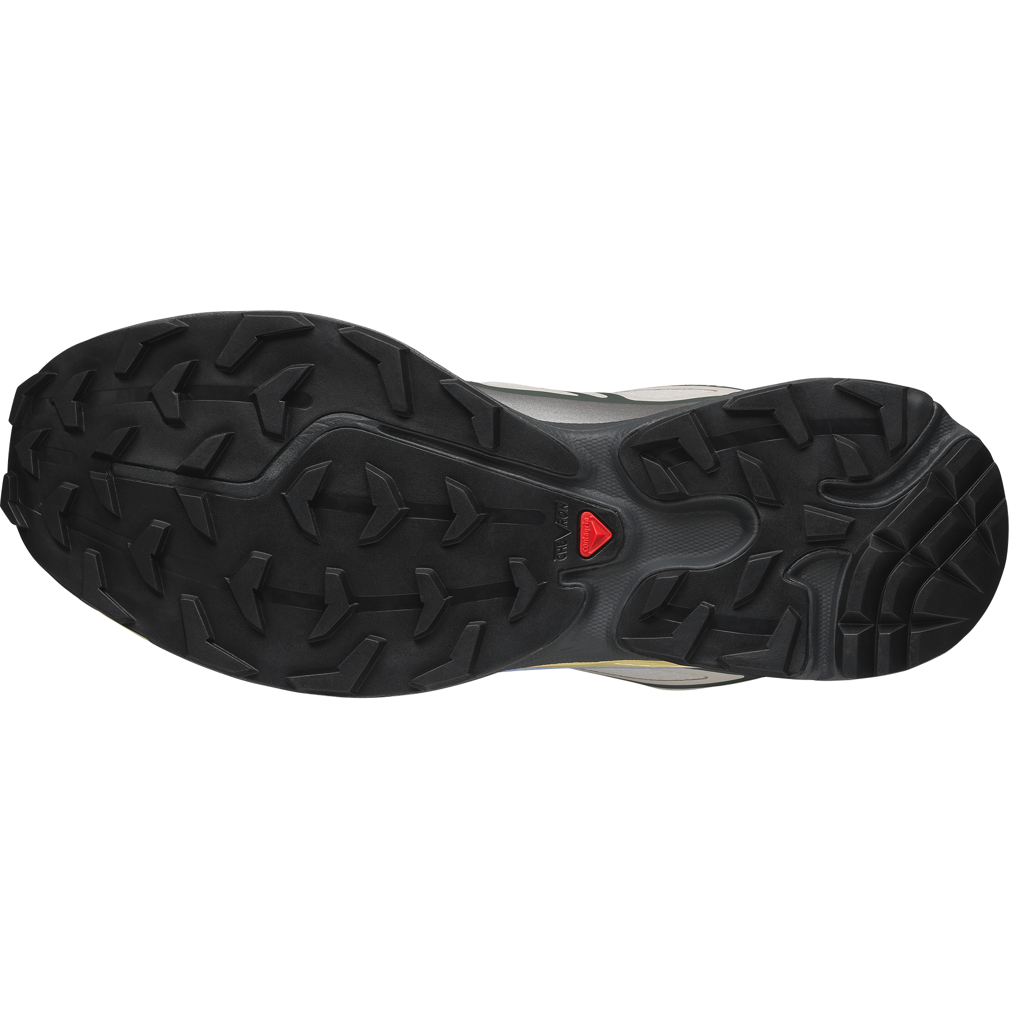 XT-6 GORE-TEX Silver Cloud / Urban Chic / Shadow Green
