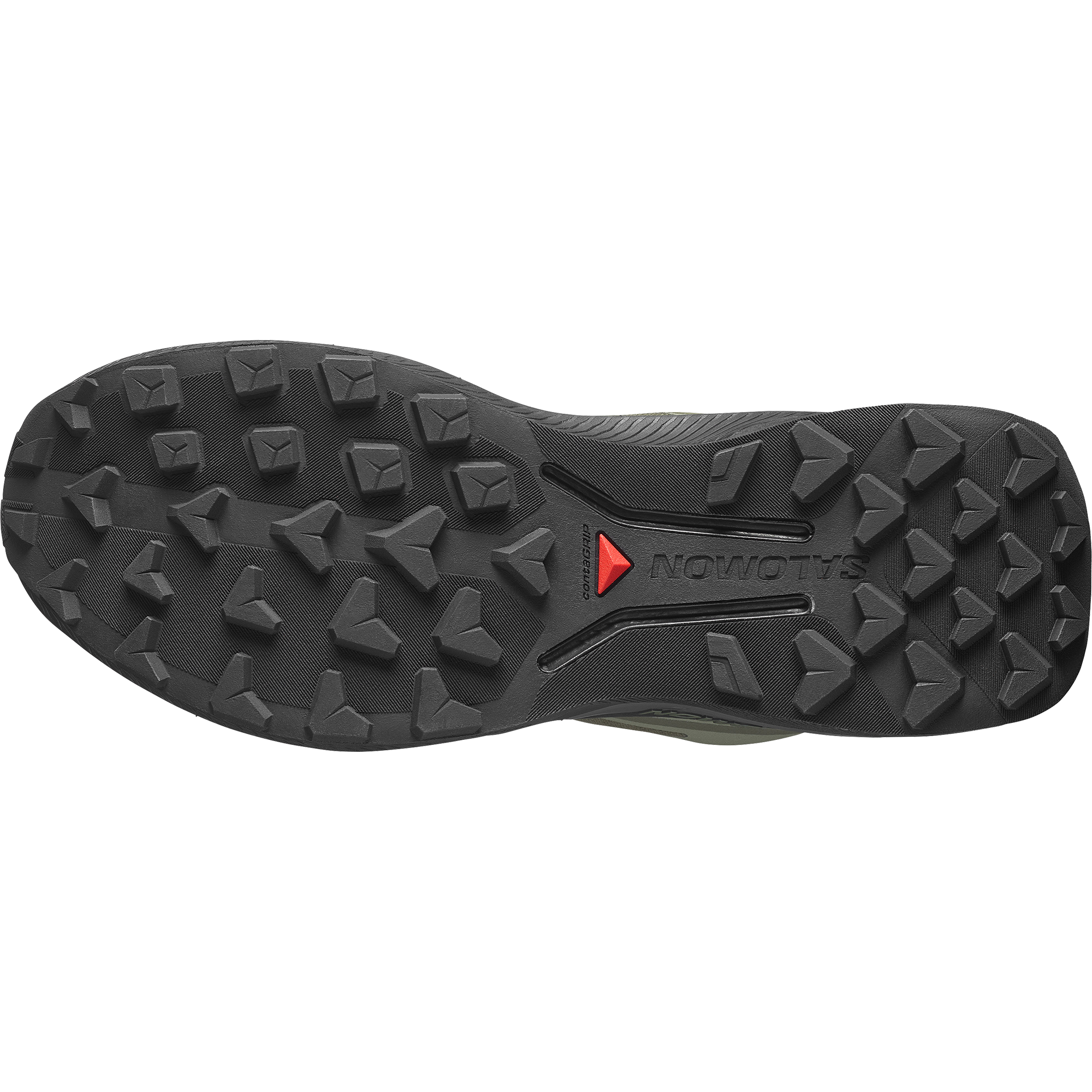 GENESIS 2 GTX Grape Leaf / Black / Deep Lichen Green