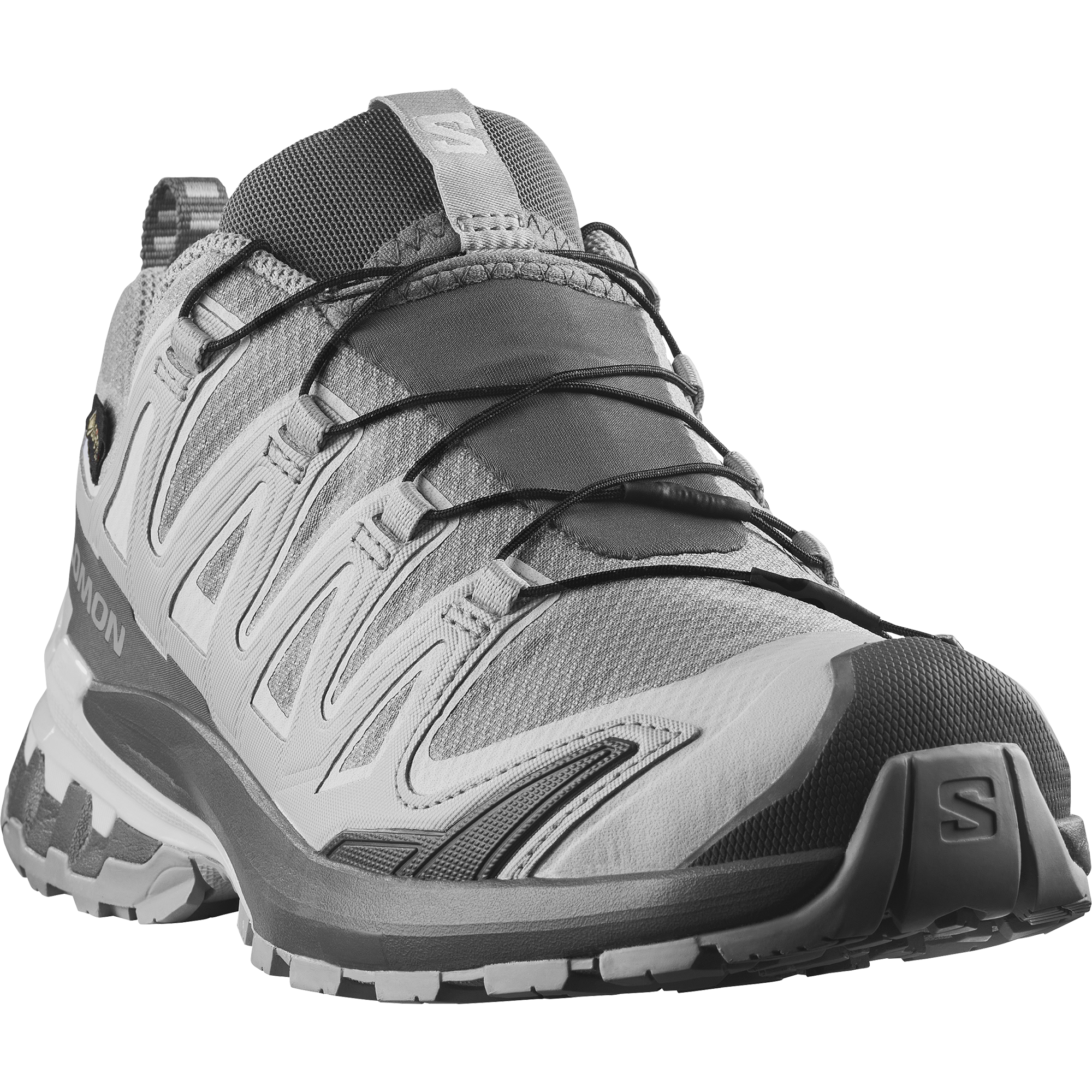 XA PRO 3D V9 GORE-TEX Alloy / Castlerock / Lunar Rock