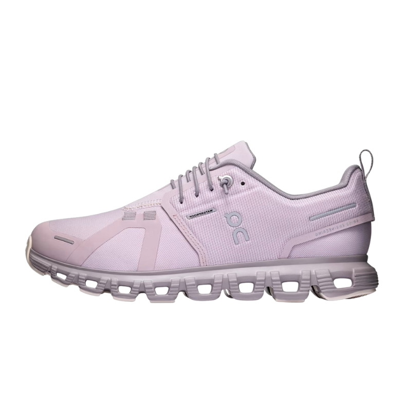 On Running Cloud 6 Waterproof Mauve Zinc (W)