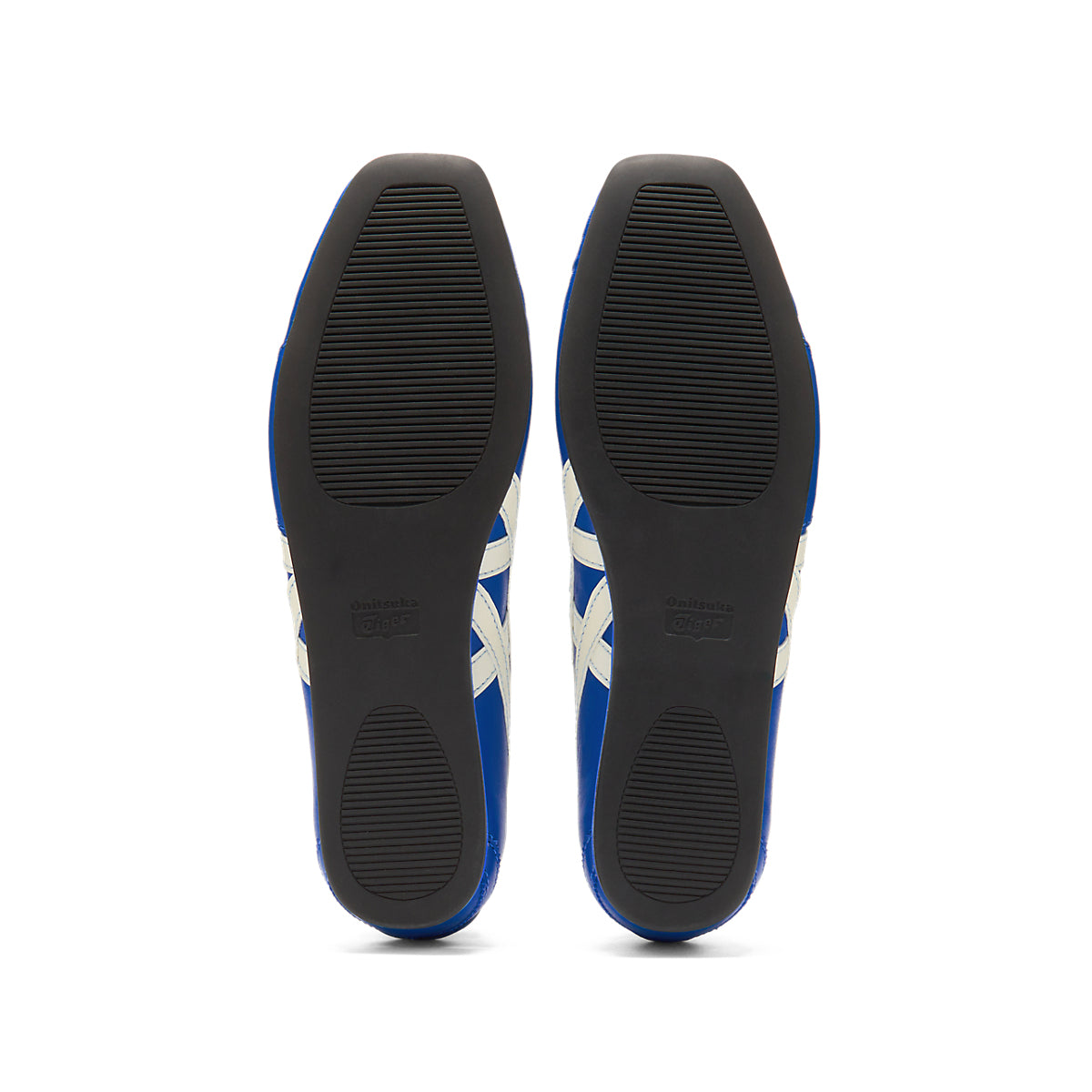 GYMNARINA DAZZLING BLUE/CREAM