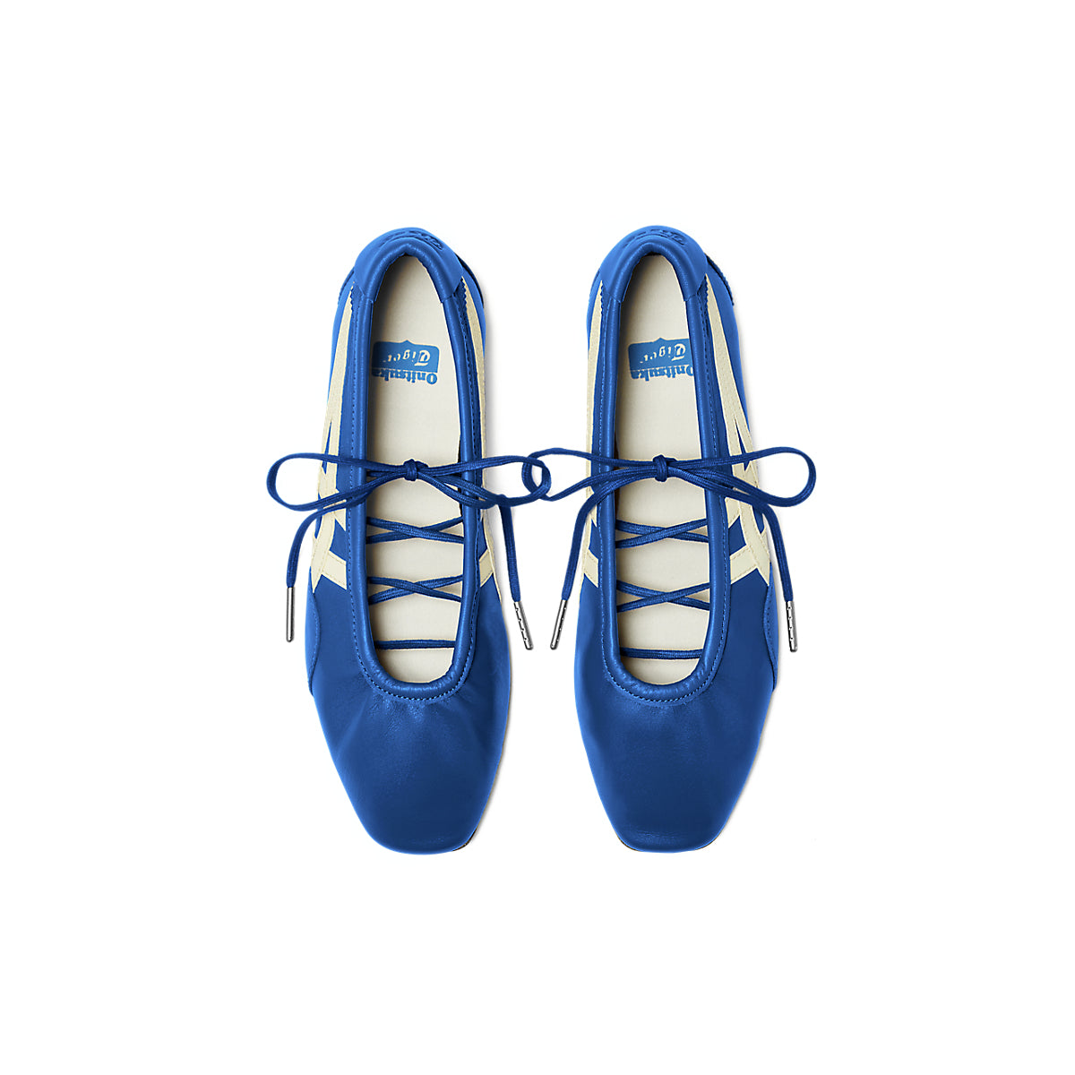 GYMNARINA DAZZLING BLUE/CREAM