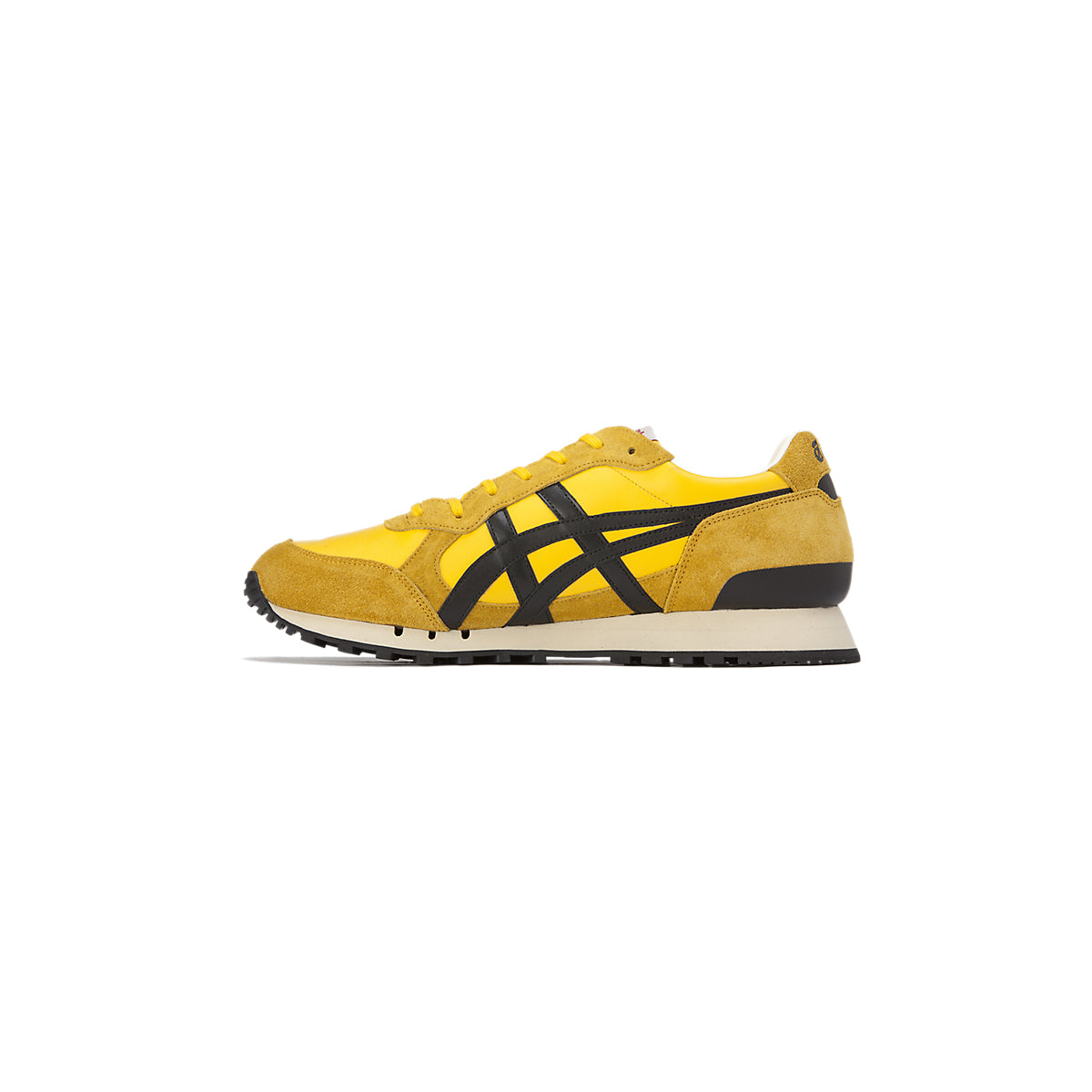 COLORADO EIGHTY-FIVE NM TIGER YELLOW/BLACK
