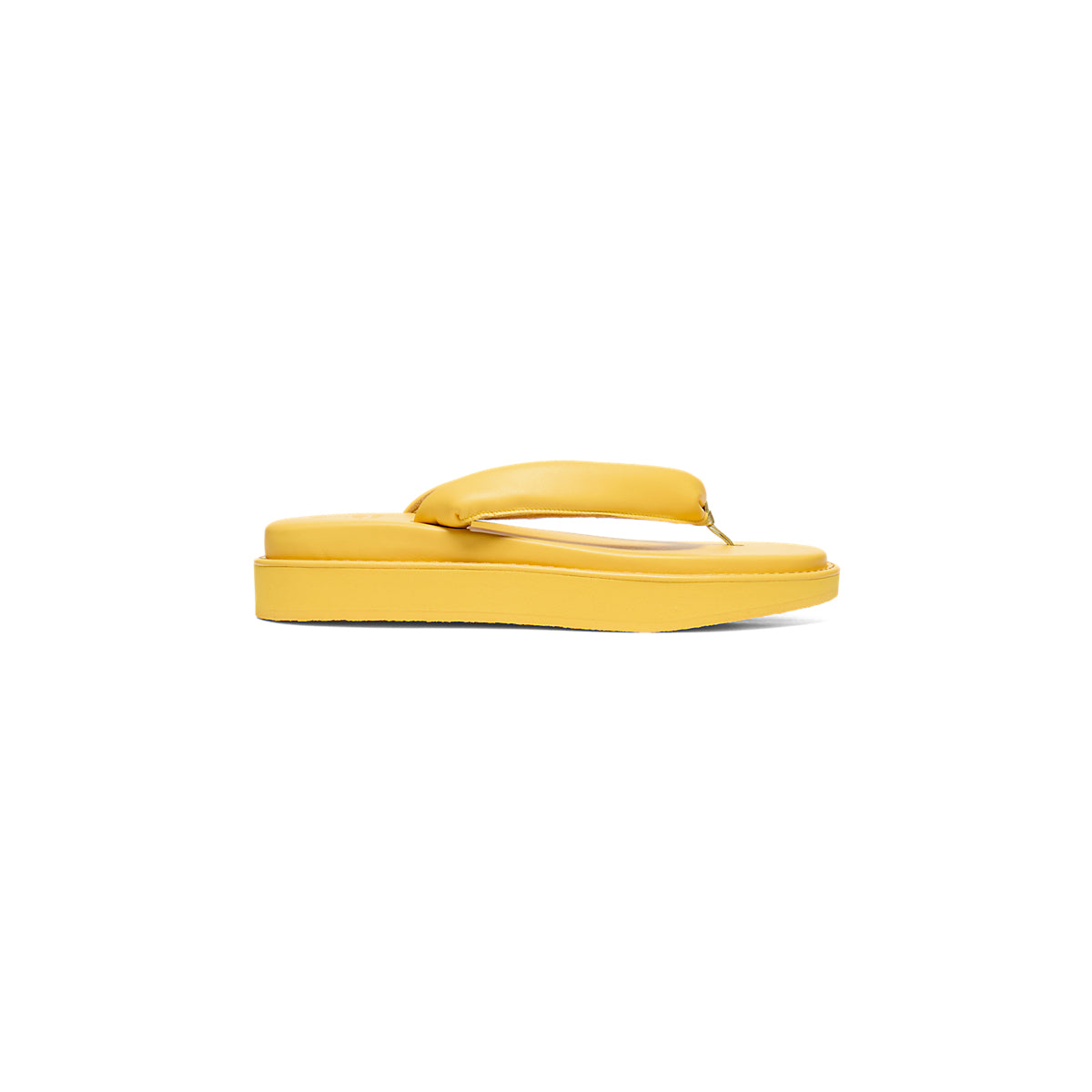 TIGER SETTA NM SUNFLOWER YELLOW/SUNFLOWER YELLOW