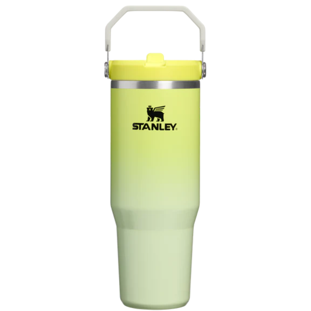 STANLEY Tumbler Mug IceFlow Flip Straw 30 Oz