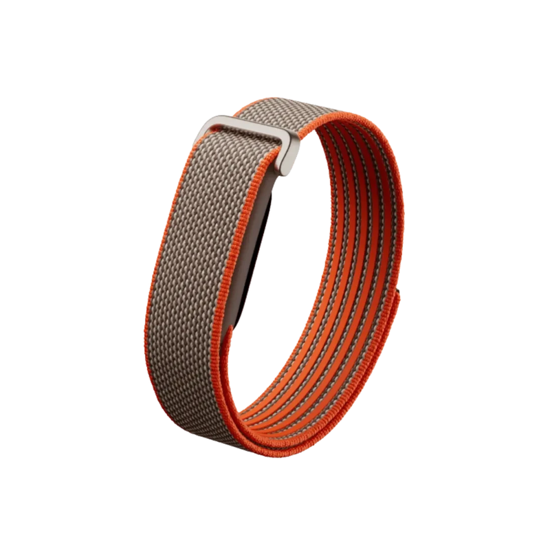 Google Fitbit Air Classic