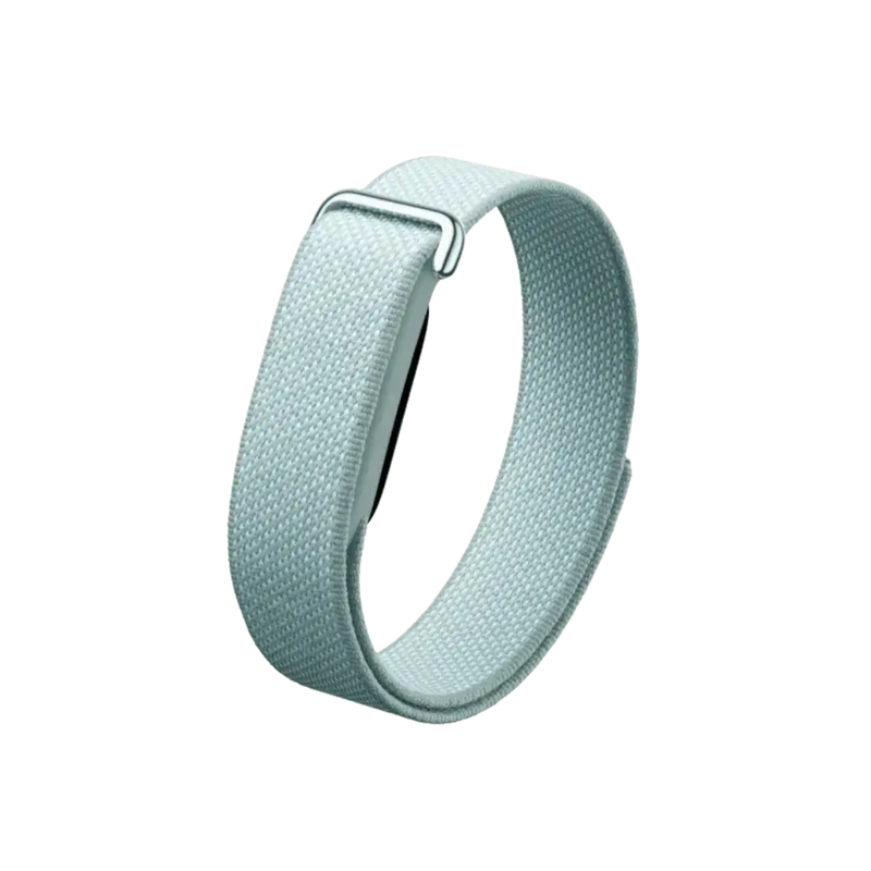 Google Fitbit Air Classic