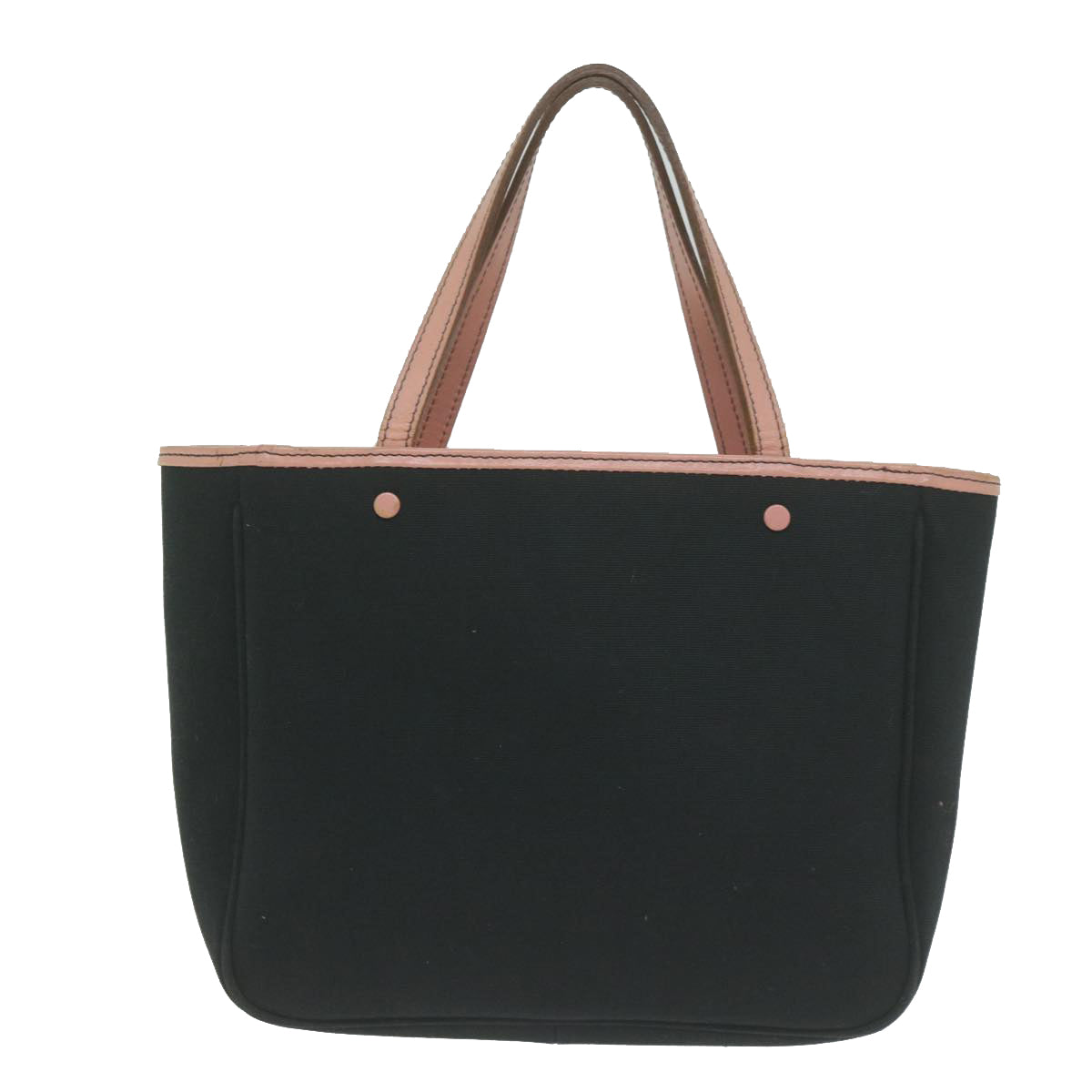 Burberry blue Label Canvas Handbag (Pre-Owned)