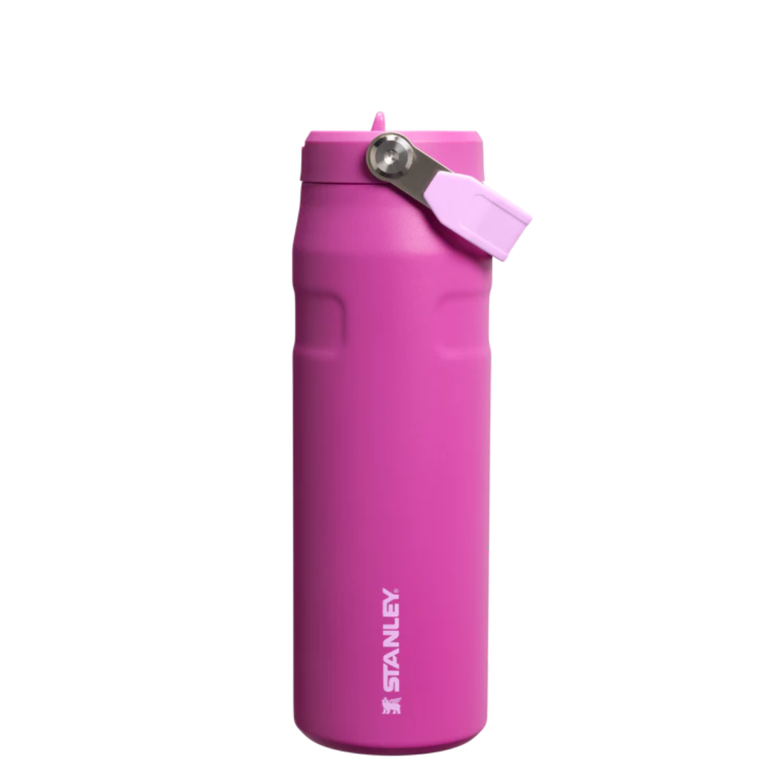 STANLEY Tumbler Mug IceFlow Flip Straw 24 Oz