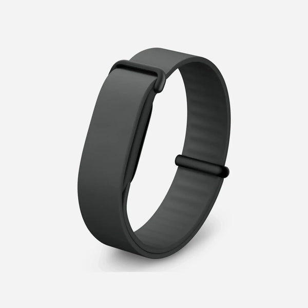 Google Fitbit Air Elevated Modern Band (Only Band)