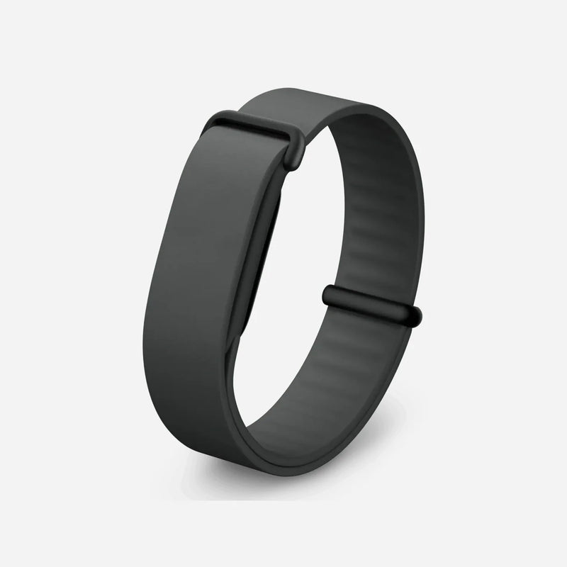 Google Fitbit Air Elevated Modern Band (Only Band)