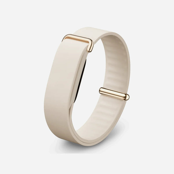Google Fitbit Air Elevated Modern Band (Only Band)
