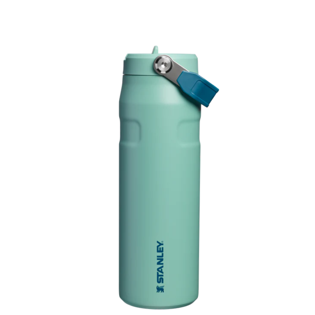 STANLEY Tumbler Mug IceFlow Flip Straw 24 Oz