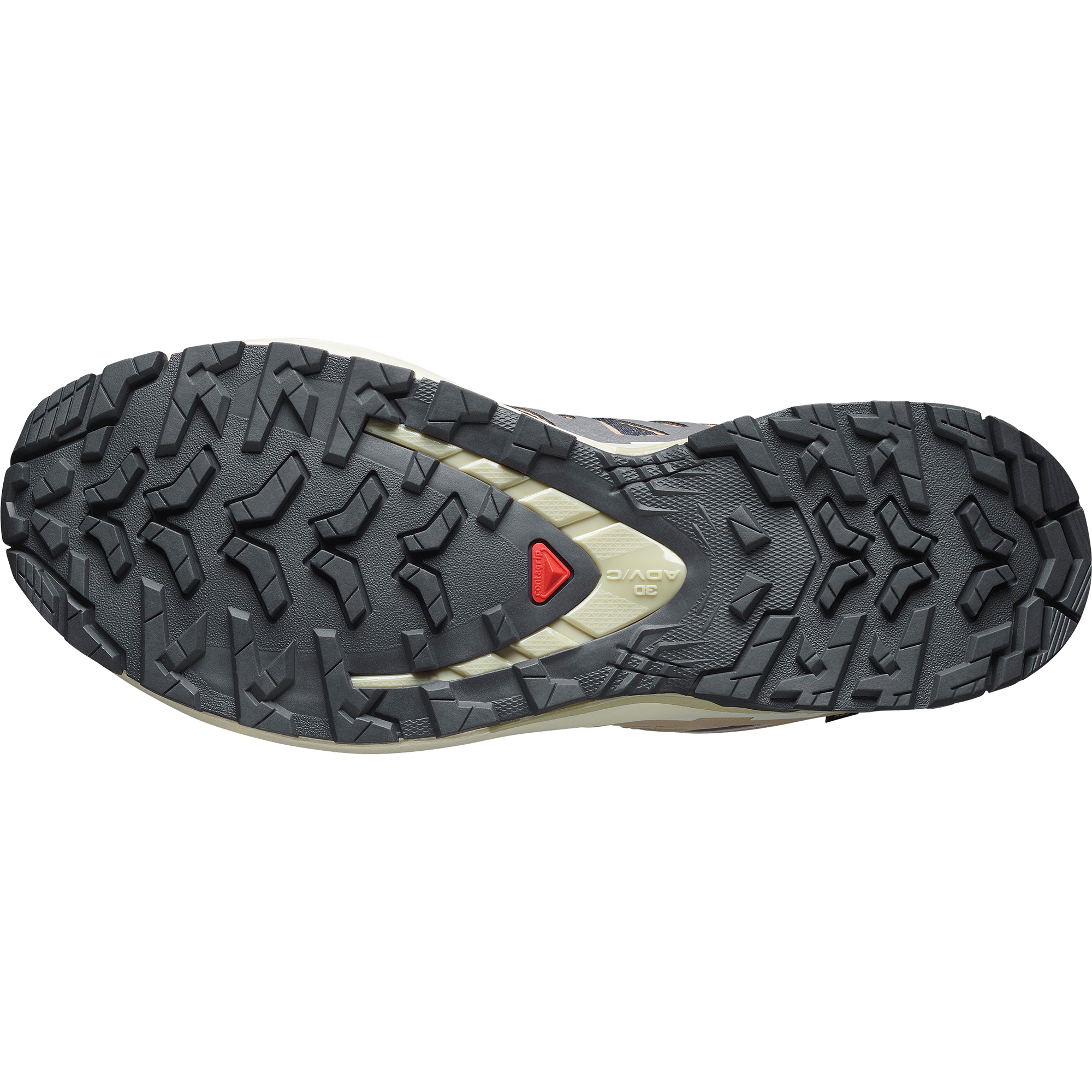 XA PRO 3D V9 GORE-TEX Nine Iron / Oxford Tan / Alfalfa