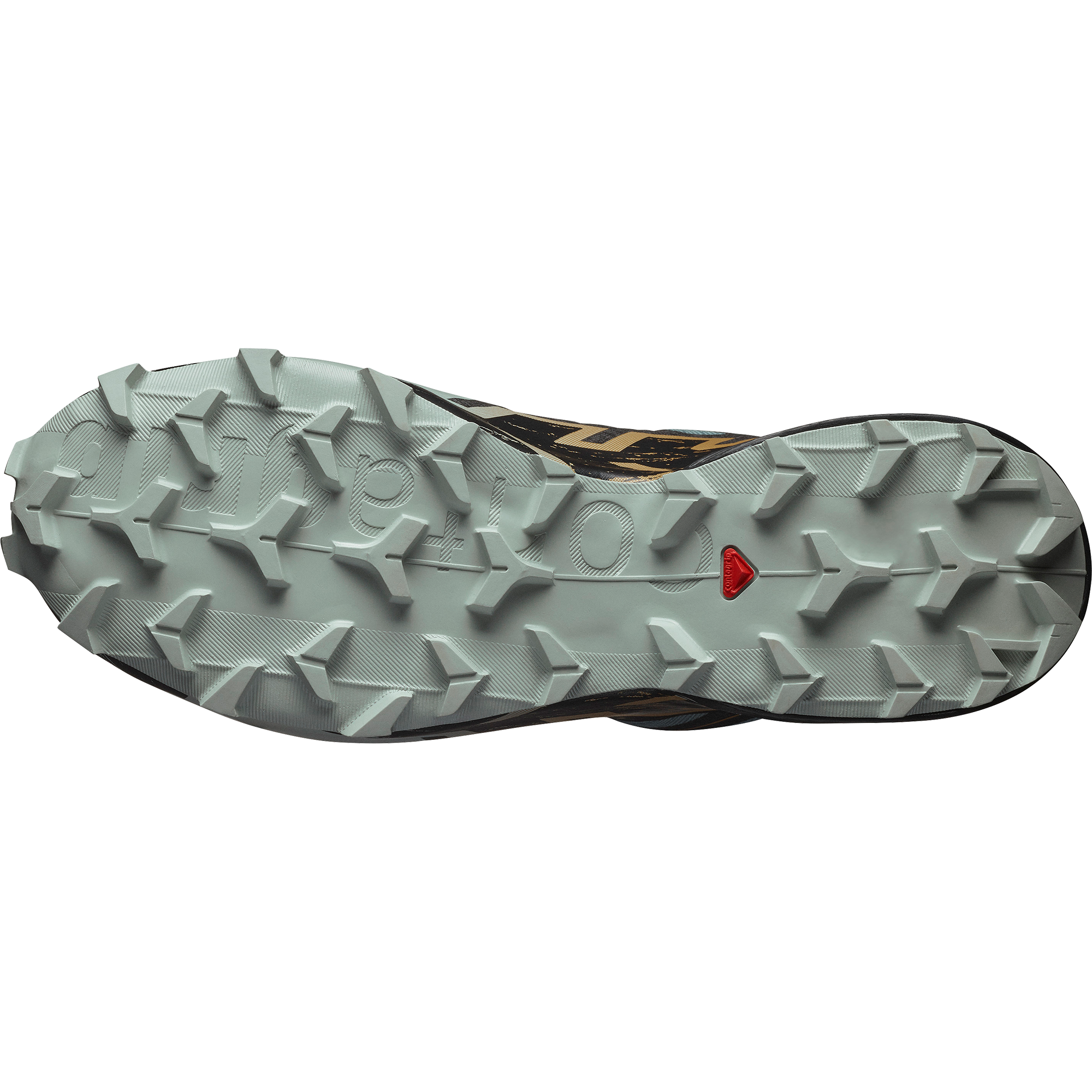 SPEEDCROSS 6 GORE-TEX Trooper / Black / Wood Thrush