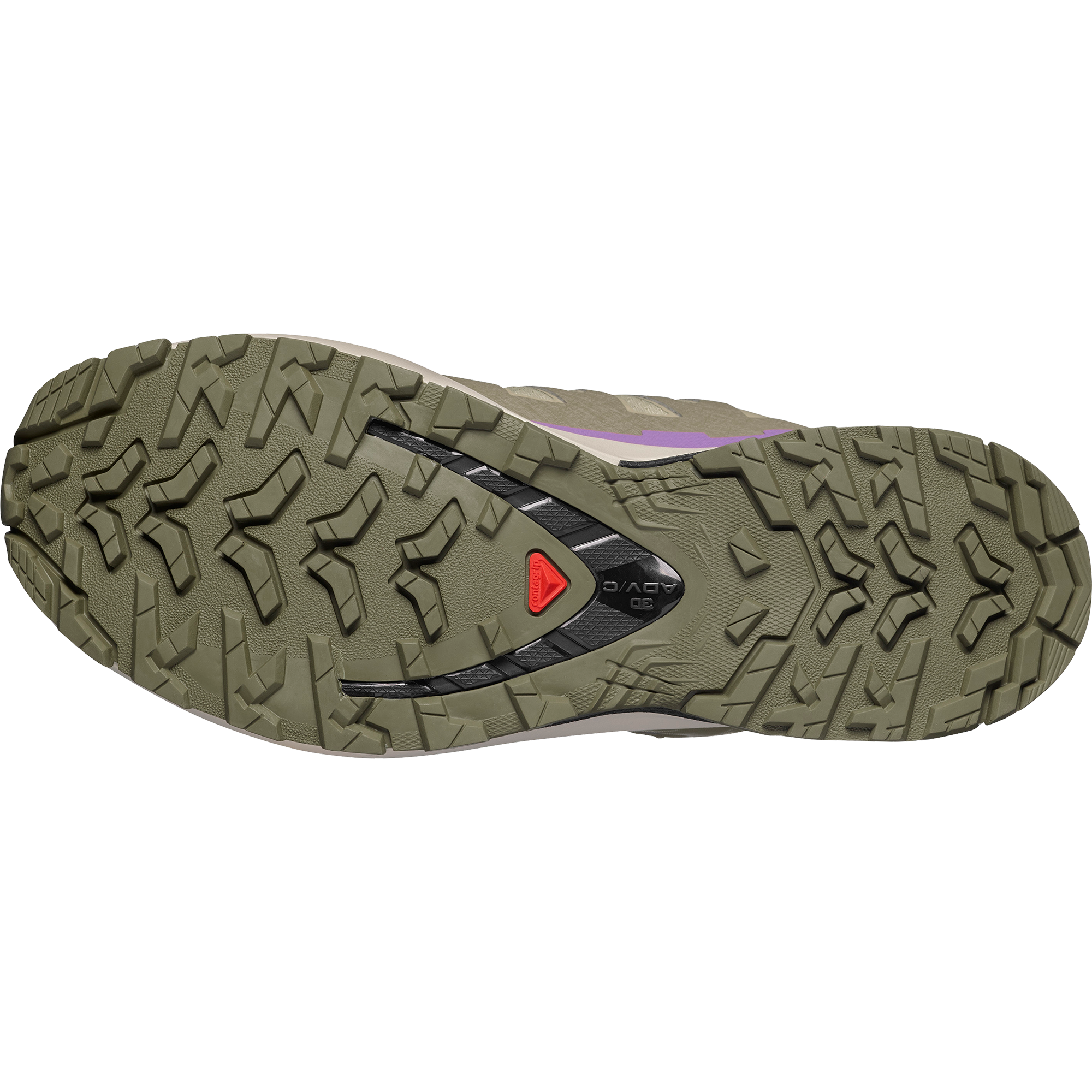 XA PRO 3D V9 GORE-TEX Bog / Aloe / Concord Grape