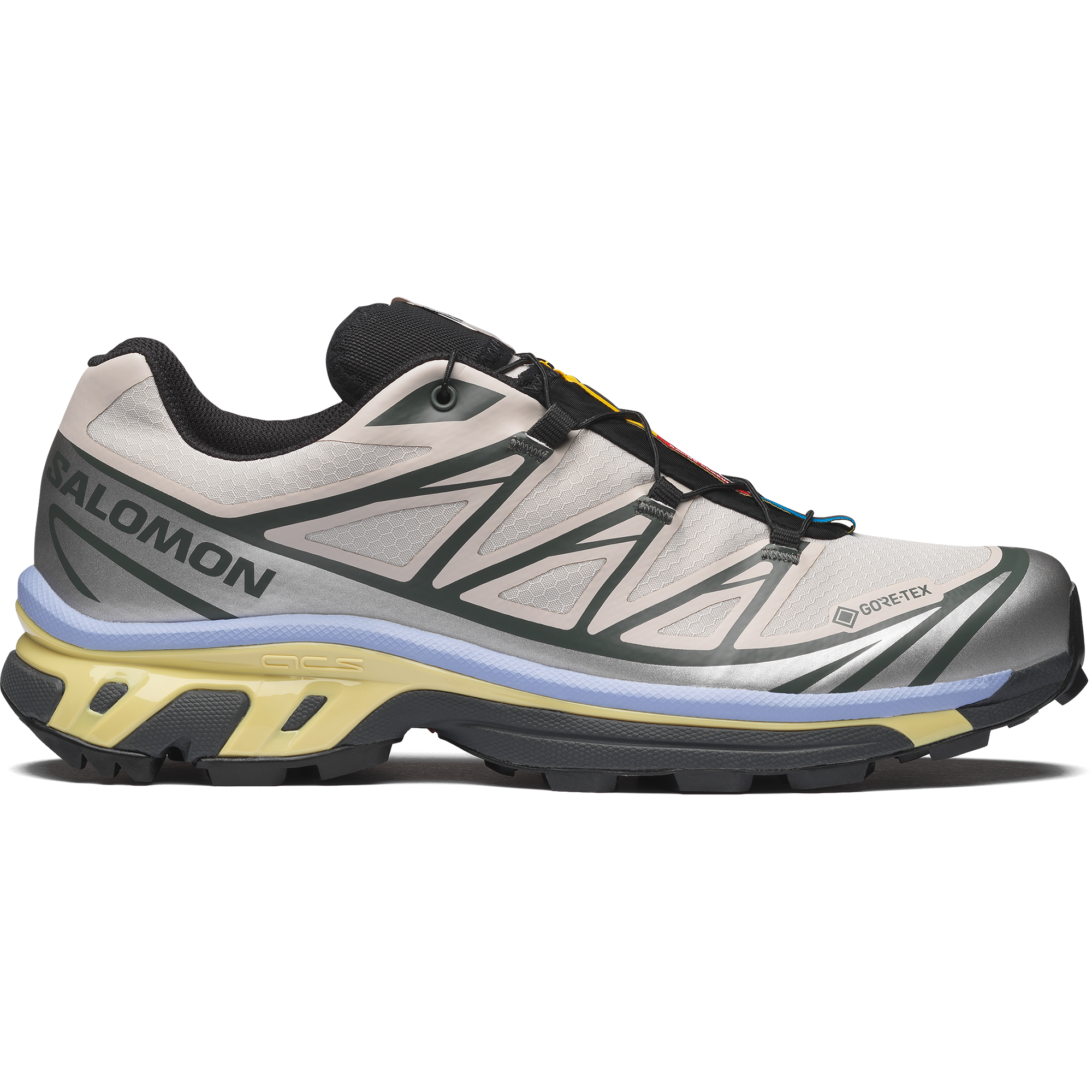 XT-6 GORE-TEX Silver Cloud / Urban Chic / Shadow Green