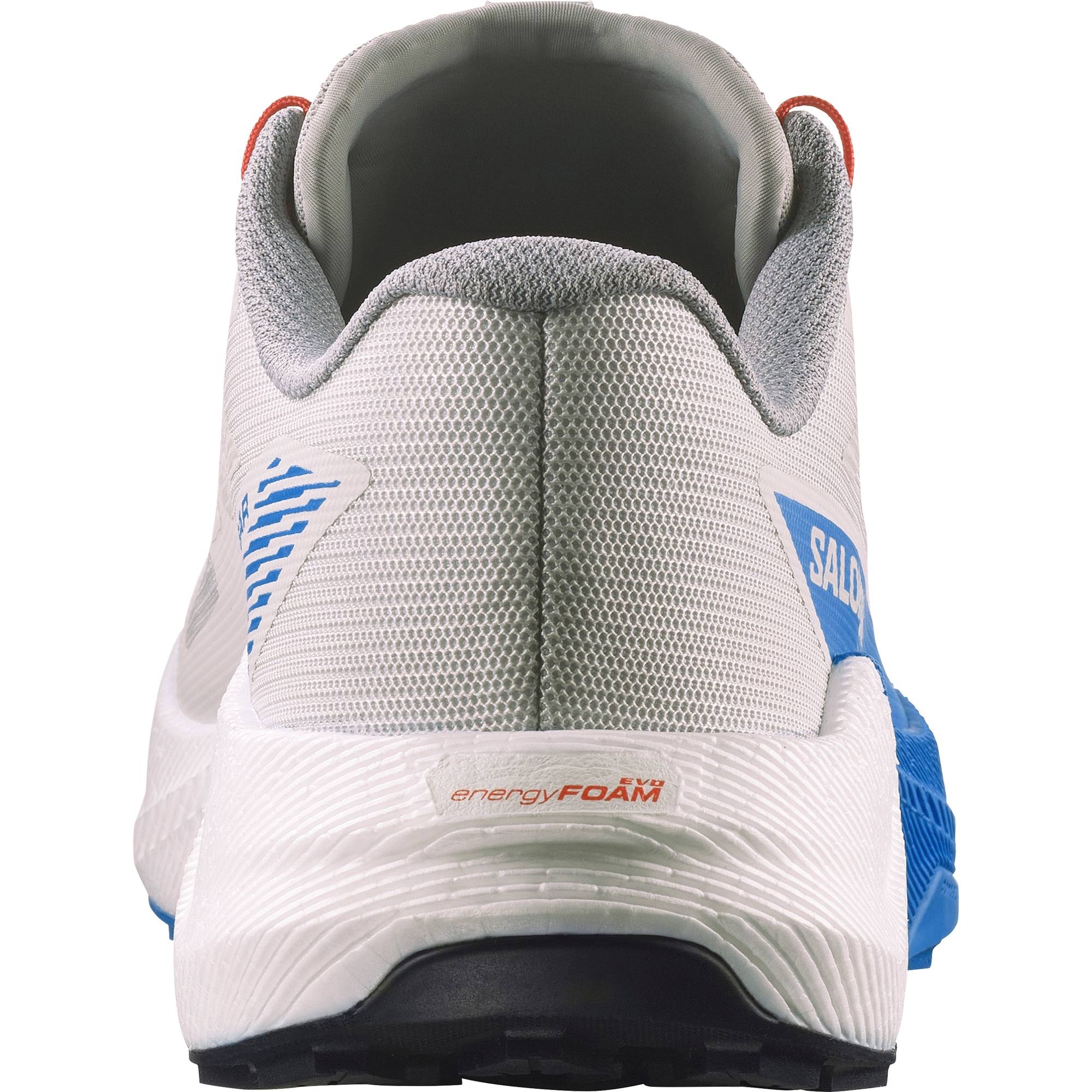 PULSAR Lunar Rock / White / French Blue