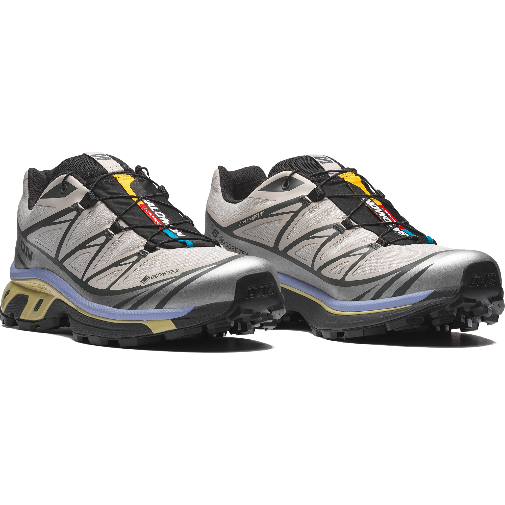XT-6 GORE-TEX Silver Cloud / Urban Chic / Shadow Green