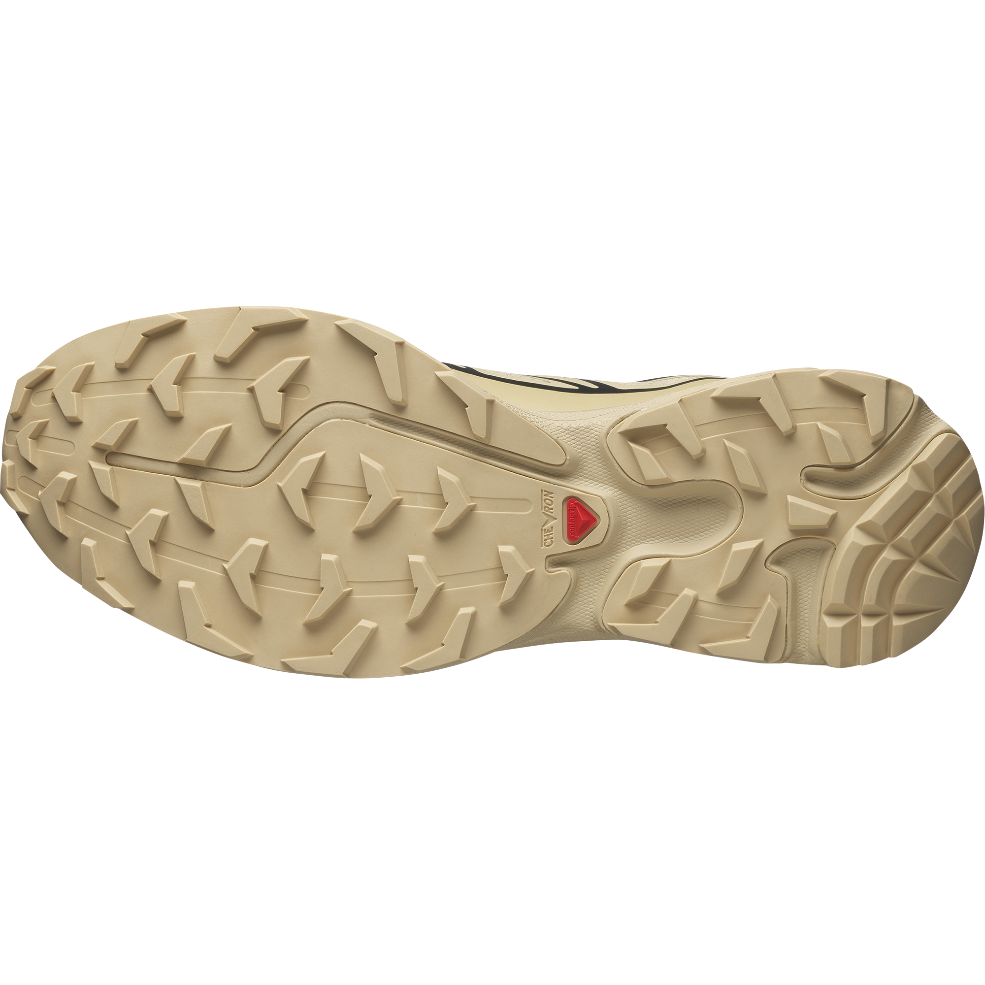 XT-6 GORE-TEX Safari / Safari / Black
