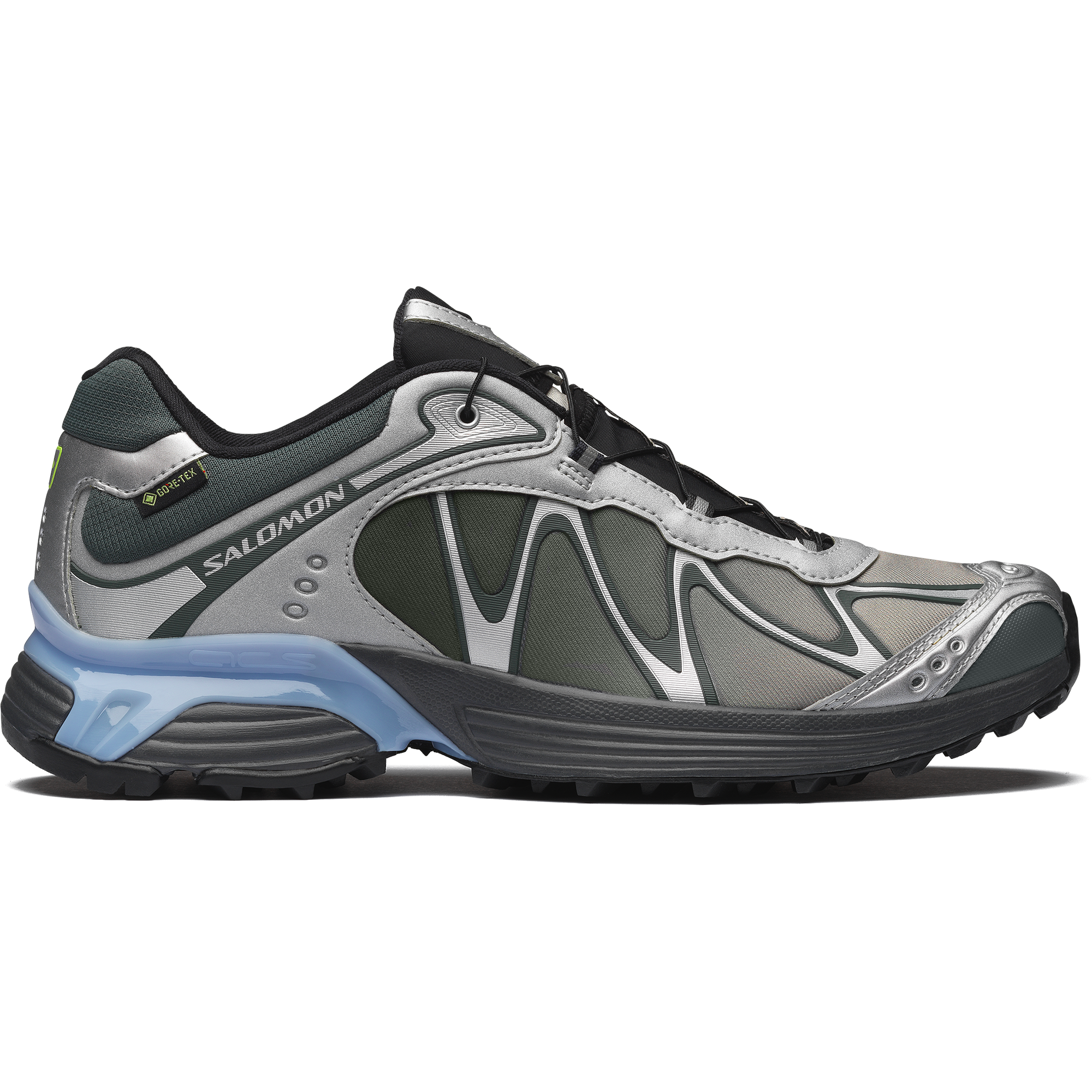 XT-WHISPER GTX Ftw Silver / Urban Chic / Brunnera Blue