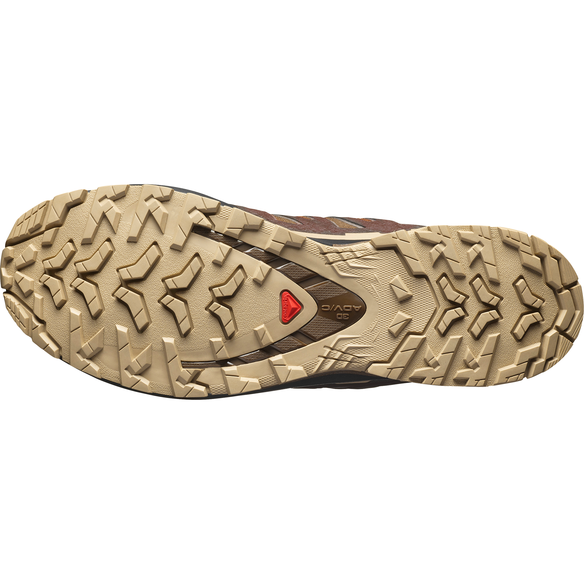 XA PRO 3D V9 GORE-TEX Dark Earth / Desert Tan / Black