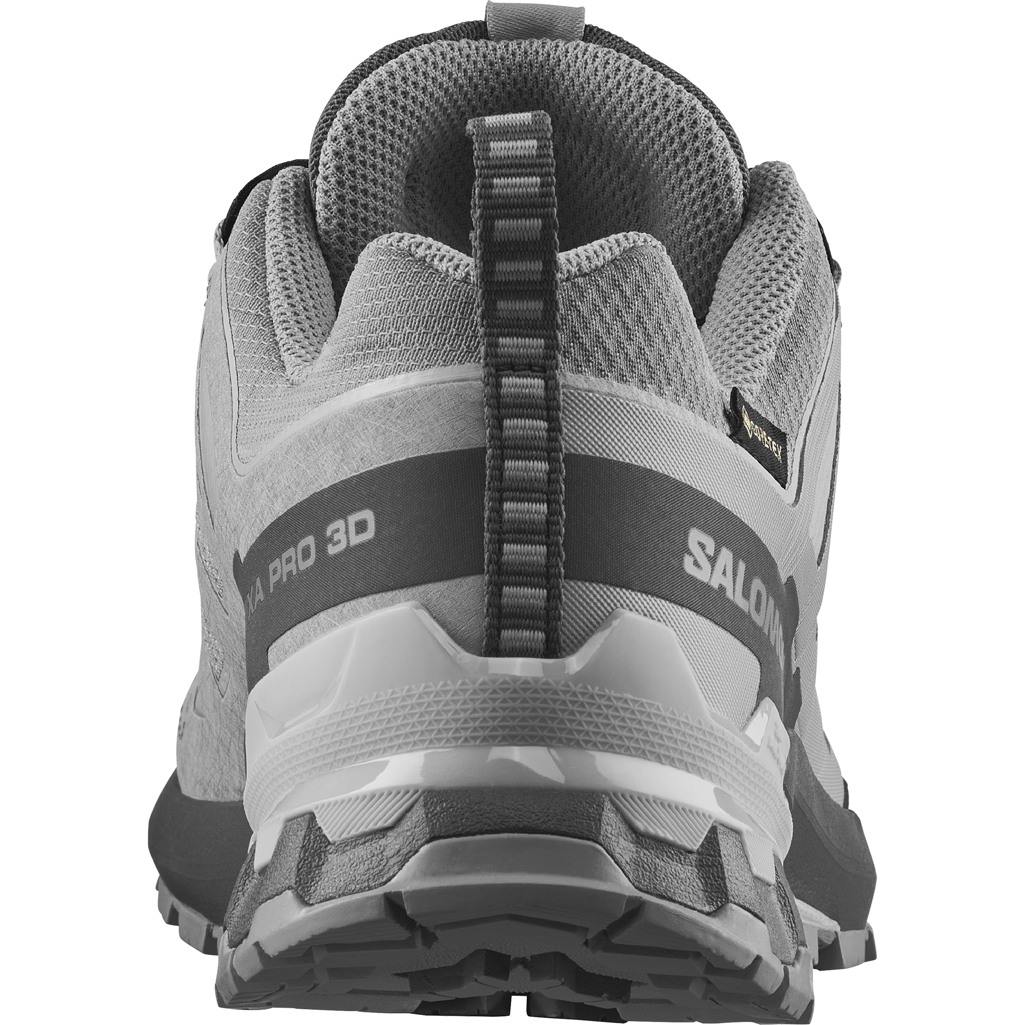 XA PRO 3D V9 GORE-TEX Alloy / Castlerock / Lunar Rock