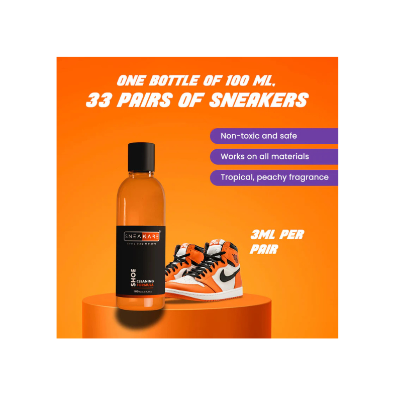 Basic Shoe Cleaning Kit