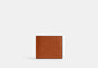 Amber Brown
