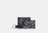 Silver/Denim Chalk