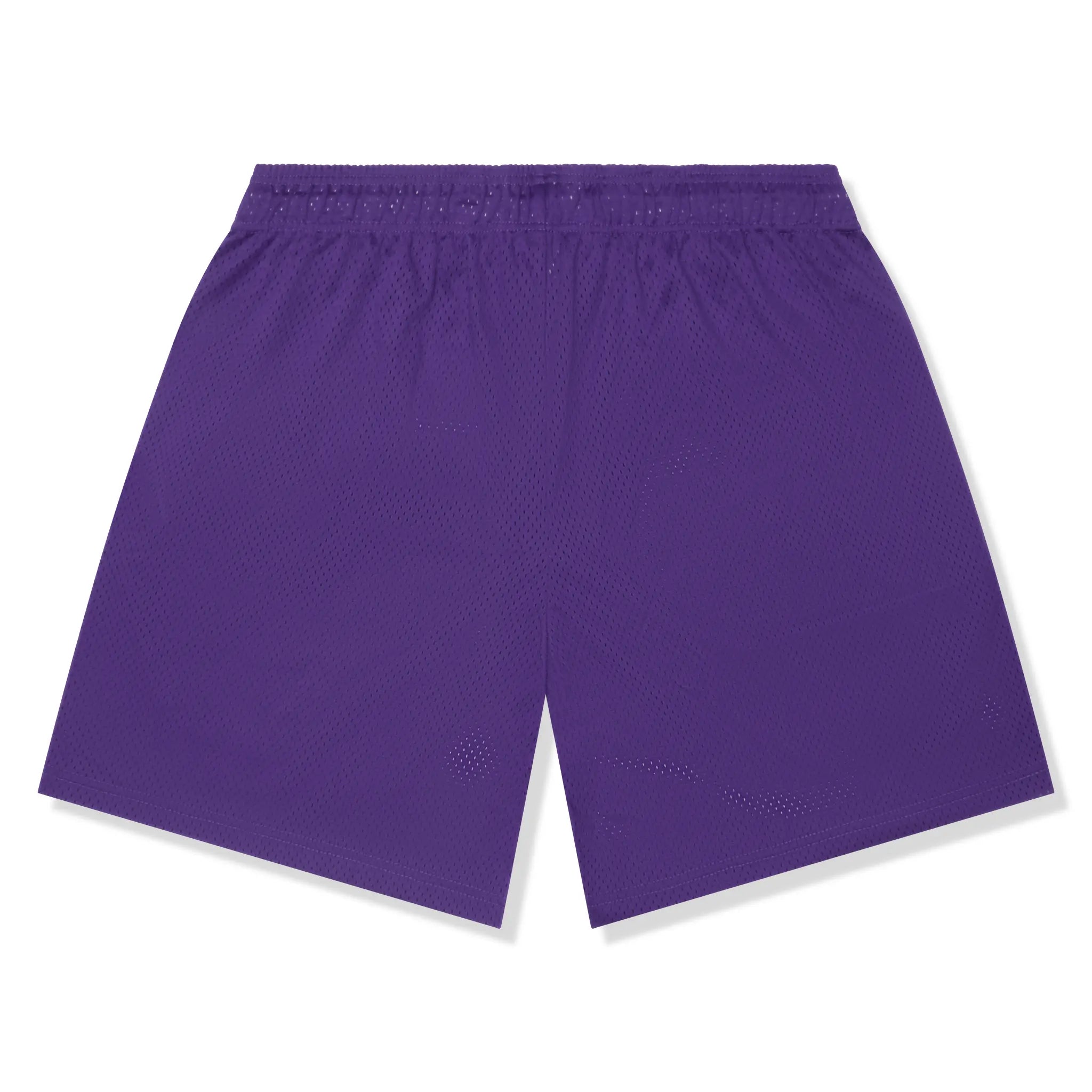 Eric Emanuel x Warren Lotas Purple Yellow Shorts (FW24)