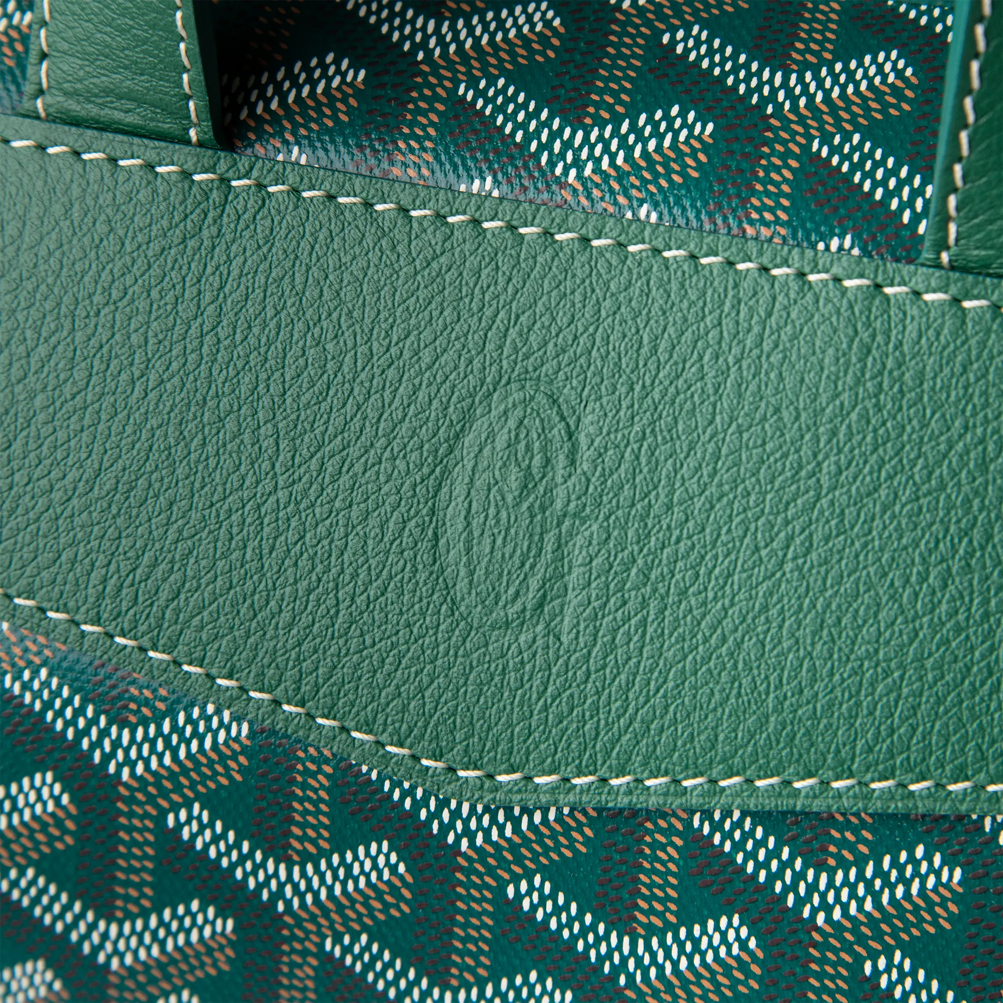 Goyard Green Cisalpin Backpack